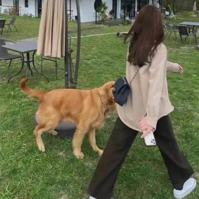 小事儿